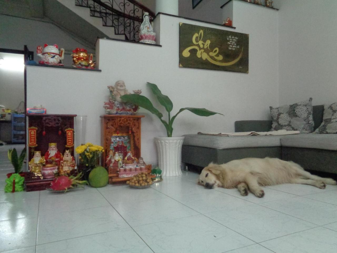 Ms Yang Homestay 2 - Home Cook Cidade de Ho Chi Minh Exterior foto